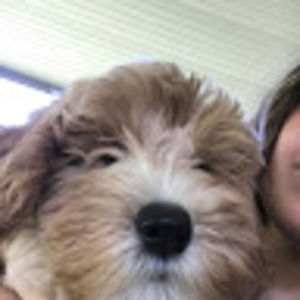 Meet your Posher, Bella